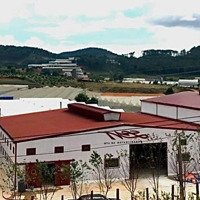 Bán Miếng Đất To Lạc Dương Lâm Đồng, Đang Làm Xưởng Nấm Có Hđt Dài Hạn Thu Nhập Ổn Liên Hệ: 0933.058.266