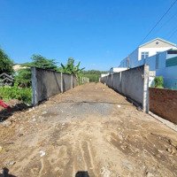 Đất Thổ 333M2Mặt Tiềnđường Nhựa Lê Đình Chi Xã Lê Minh Xuân, Bình Chánh, Tphcm 6M X 55M. Có 172M2 Thổ