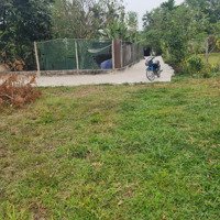 5M2 X 26M Đất Ở 50M2 Còn Lại Cln Bán 550 Triệu, Đường Hùng Vương Vào Đúng 350M, Sổ Bên Dưới