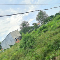 Kẹt Tiền, Bán Nhanh 350 Triệu Đất Tại Kp Gia Huỳnh Phường Trảng Bàng, Diện Tích 5X20M (Sổ Bên Dưới)