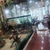 Siêu Siêu Phẩm Kinh Doanh! Mặt Phố Nguyễn Sơn 2 Mặt Tiền, 145 M2, 10 Tầng, Mt5,5M Full Nội Thất