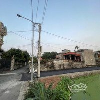 Đất Nền Tại Đường 38, Xã Đại Cương, Kim Bảng, Hà Nam Bán Gấp Giá Cực Chất 22 Triệu / M2, 101 M2