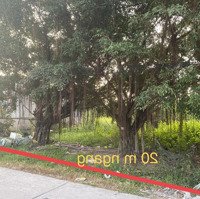 Hàng Hiếm Tại Kênh 26/3, P 8, Cà Mau, Giá Bán 3,2 Tỷ, Diện Tích 1000M2