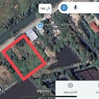Hàng Hiếm Tại Kênh 26/3, P 8, Cà Mau, Giá Bán 3,2 Tỷ, Diện Tích 1000M2