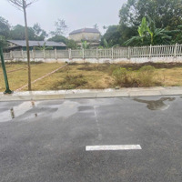 Chính Chủ Bán Gấp Đất Tại Minh Phú, Sóc Sơn, Hà Nội, Giá Tốt Hàng Hiếm Chỉ 1,55 Tỷ
