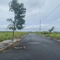 Bán Gấp Đất Tại Ruộng Cạn, Xã Bình Nghị, Gò Công Đông, Tiền Giang, 184,5M2, Shr Bao Sang Tên