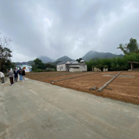 Chưa Mở Bán Khách Đã Phải Cọc Giữ Chỗ Ngày Siêu Phẩm Nằm Trên Trục Đường Liên Xã 11M