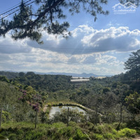 Cần Bán Đất Xuân Trường, Đà Lạt - View Đẹp Nghỉ Dưỡng