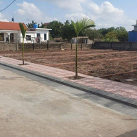 Sở Hữu Ngay Đất Nền Quất Lâm Đón Đầu Tiềm Năng Du Lịch Biển - Giá Rẻ Nhất Thị Trường