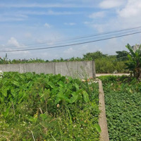 Bán Đất Tại Đông Hà, Đông Hưng, Thái Bình, 5,3 Tỷ, 200 M2