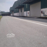 Cho Thuê Kho 100, 500, 1000, 10000M2 Kcn Sóng Thần 1, Dịch Vụ Quản Lý - Bốc Xếp Chuyên Nghiệp