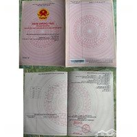 6 Lô Chính Chủ - Sổ Hồng Riêng Từng Nền - Ấp Đầu Giồng A, Mỹ Chánh, Châu Thành, Trà Vinh