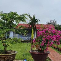 Nhà Vườn Tại Nha Trang- 1000M2 Chỉ 5,2 Tỷ