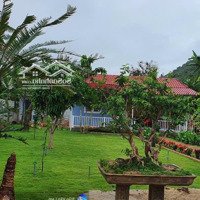 Nhà Vườn Tại Nha Trang- 1000M2 Chỉ 5,2 Tỷ