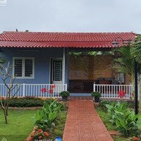Nhà Vườn Tại Nha Trang- 1000M2 Chỉ 5,2 Tỷ