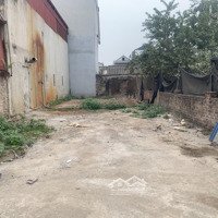 Bán 120M2 Full, Đất Chính Chủ Tại Thế Trạch. Mai Đình. Sóc Sơn. Hà Nội