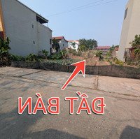 Bán Đất Đẹp La Thạch, Diện Tích Vừa Xinh 64M, Trực Thăng Đỗ Cửa - Sổ Đỏ Vuông Vắn, Sẵn Giao Dịch