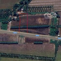 Bán 1249M2, Mặt Tiền Đường Tỉnh 922, Trường Lạc, Ô Môn ( Chính Chủ )