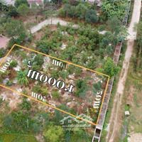 Long Vân - 1000M2 Giá 6. 5 Triệu/M2 Tại Nam Sơn, Sóc Sơn