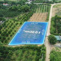 Chính Chủ Cần Bán Mảnh Diện Tích 1533M2 Tại Yên Thuỷ, Hoà Bình