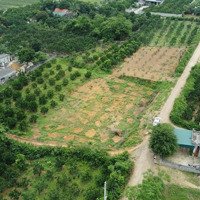 Chính Chủ Cần Bán Mảnh Diện Tích 1533M2 Tại Yên Thuỷ, Hoà Bình