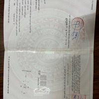 Bán Đất Tân Học - Thái Thụy- Thái Bình - Trục Tỉnh - Kinh Doanh Giá Chỉ 1.3 Tỷ