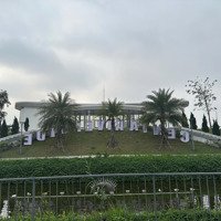 Biệt Thự Nhà Giá Chủ Đầu Tư Hàng Hiếm 180M2