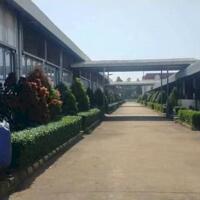 BÁN XƯỞNG TẠI KCN BẮC ĐỒNG PHÚ, BÌNH PHƯỚC – DIỆN TÍCH 6,6HA Liên hệ ngay: 0366 632 092 để biết thêm thông tin chi tiết!
