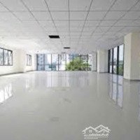 Cho Thuê Nhà Mặt Phố Tôn Thất Thuyết, 300M2 X 5 Tầng + Hầm, Mặt Tiền 15M. Đầy Đủ Pccc, Thang Máy