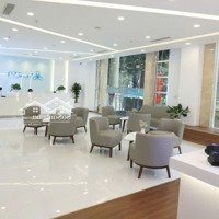 Cho Thuê Nhà Mặt Phố Tôn Thất Thuyết, 300M2 X 5 Tầng + Hầm, Mặt Tiền 15M. Đầy Đủ Pccc, Thang Máy