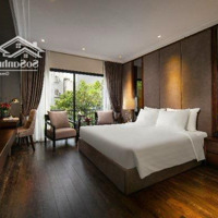 Khách Sạn Phố Trần Thái Tông, Cầu Giấy - 20 Phòng Cao Cấp, Dòng Tiền 320 Tr, Vận Hành Chuyên Nghiệp