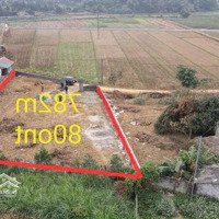 Cần Bán 782M2 Có Đất Ở.mặt Tiền25M, Tường Bao Ranh Giới Rõ Ràng. Giá Nhỉnh 1 Tỷ, Qt Liên Hệ: 0984952921