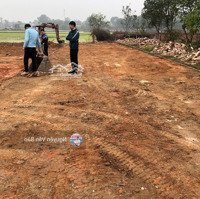 Siêu Phẩm Hàng Mới Phân Lô Hàng Full Thổ Cư Tại Tân Minh, Sóc Sơn.