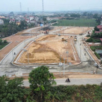 Bán 98M2 Đất Cạnh Khu Đấu Giá Cấn Hữu, Quốc Oai, Hà Nội - Chính Chủ Giá Cực Rẻ 3,6 Tỷ