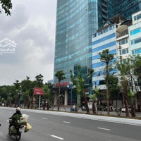 Hoàng Quốc Việt. Siêu Phẩm Mặt Phố Cực Đẹp, Vỉa Hè Bao La. Vị Trí Đắc Địa, Kd Đỉnh, Dòng Tiền Khủng
