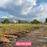 Đông Thanh- Lâm Hà 519 Triệu Diện Tích 115M2 Sẵn 75M2 Thổ Cư Cách Đà Lạt Chỉ 14Km Kdc Đường Bê Tông