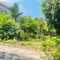 Bán Đất Tại Xã Quang Trung, 11,3 Triệu / M2, 288 M2, Hàng Hiếm Giá Siêu Hời