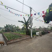 Siêu Phẩm Lô Góc Đồng Tháp- Đường Ô Tô Tránh Nhau