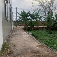 Cc Gửi Bán Đất Thọ An Ô Tô Cất Trong Nhà-Giá Đầu Tư