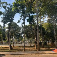 Nhà Đường Hoàng Văn Thụ Mê Trô Đối Diện Công Viên Phù Đổng. 8 Tỷ 390