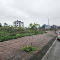 Bán Đất Biệt Thự Tại Kđt Nam Vĩnh Yên, 350M2, Mặt Tiền 13.5M, Trục Chính Đường 19,5M