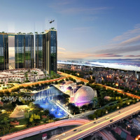 Quỹ Căn Mua Bán Chuyển Nhượng Tại Sunshine City Ciputra Giá Tốt Nhất (T3/2025)-Mr.hoàng 0812395555