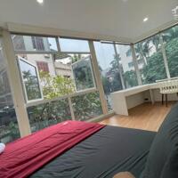 BÁN BIỆT THỰ HOÀNG HOA THÁM BA ĐÌNH, Ô TÔ TRÁNH AN SINH ĐẲNG CẤP, DT 124M2 GIÁ 39.6 TỶ