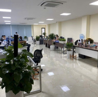 Bán Nhà 9 Tầng Lô Góc Mặt Phố Trần Thái Tông. Vị Trí Đắc Địa, Đẹp Nhất Quận Cầu Giấy