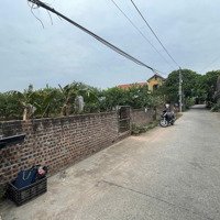 Siêu Phẩm Hot - Phân Lô 200 M2 Đẹp Tại Tứ Dân, Khoái Châu, Hưng Yên, 035858 8866