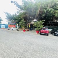 Đất Mặt Tiền Kinh Doanh Ngay Highland Và Bidv Tân Hiệp , Biên Hoà
