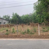 Ra Đi Lô Đấtmặt Tiềnnhựa 1000M2 Có Con Suối Phía Sau Siêu Đẹp, Giá Chỉ 350 Triệu Ở Bình Dương
