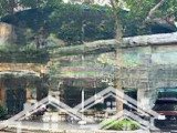 Cho Thuê Mặt Phố Vạn Phúc(Ba Đình),Tuyệt Đẹp Để Kinh Doanh Với Diện Tích Tổng: 160M2, Mặt Tiền: 12M