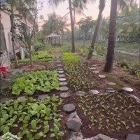 Bán Căn Xẻ Khe Ecopark Hải Dương Đằng Sau Là Sông, Có Sân Vườn, Không Khác Gì Biệt Thự.