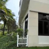 Bán Căn Xẻ Khe Ecopark Hải Dương Đằng Sau Là Sông, Có Sân Vườn, Không Khác Gì Biệt Thự.